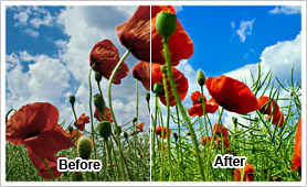 CyberLink TrueTheater Lighting presents brilliant colors and improve image detail to every scene