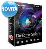 Director Suite 5